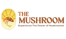 The Mushroom logo